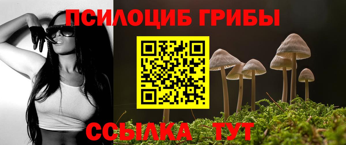 Псилоцибиновые грибы прущие грибы  Вход с VPN  Петровск  Псилоцибиновые грибы Magic Shrooms 